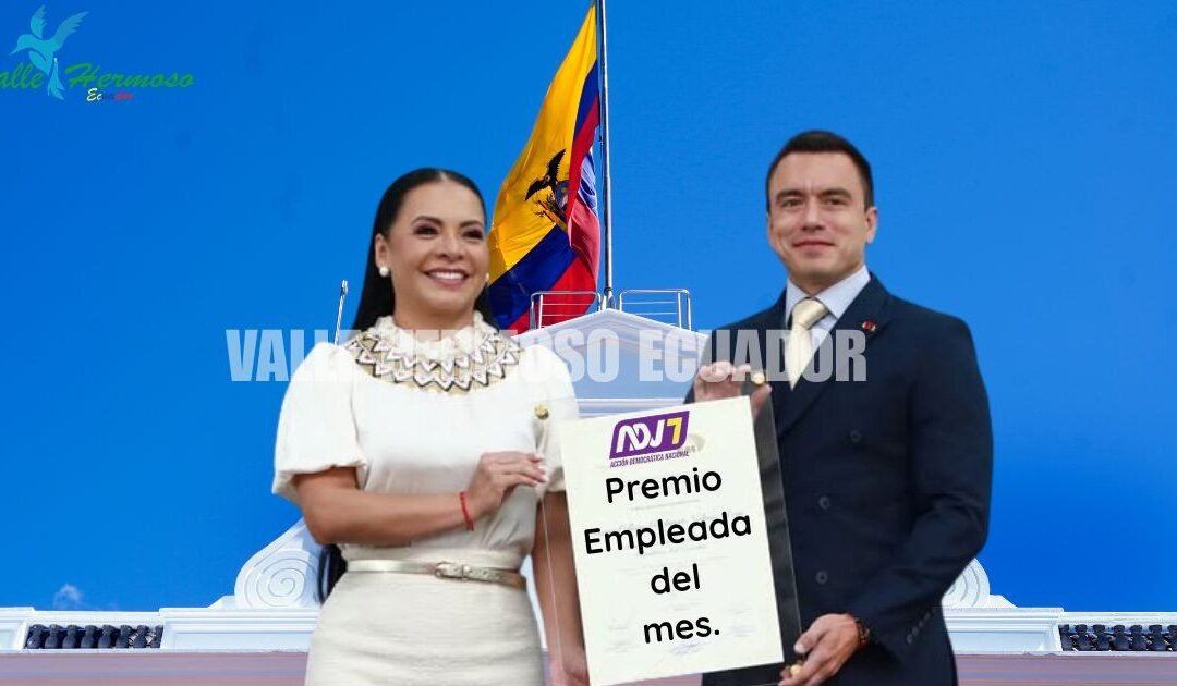 CNE: ¿Árbitro electoral o jefe de campaña de Noboa?