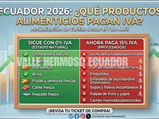 El «golpe» a la canasta básica: Más de 60 productos que eran tarifa 0% ahora pagan 15% de IVA